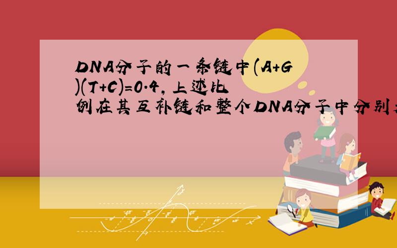 DNA分子的一条链中(A+G)(T+C)=0.4，上述比例在其互补链和整个DNA分子中分别是（　　）