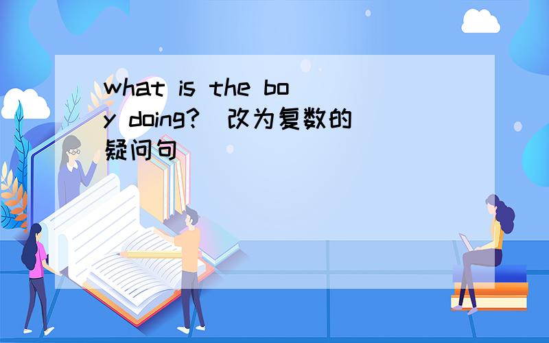 what is the boy doing?（改为复数的疑问句）