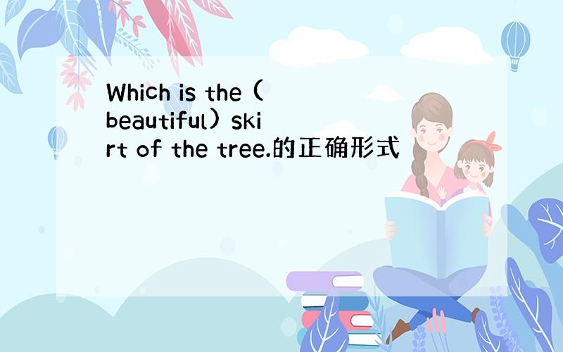 Which is the (beautiful) skirt of the tree.的正确形式