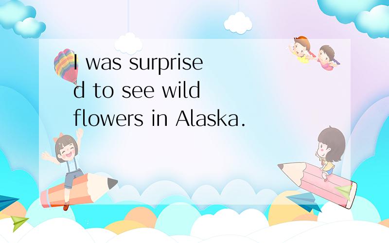 I was surprised to see wild flowers in Alaska.