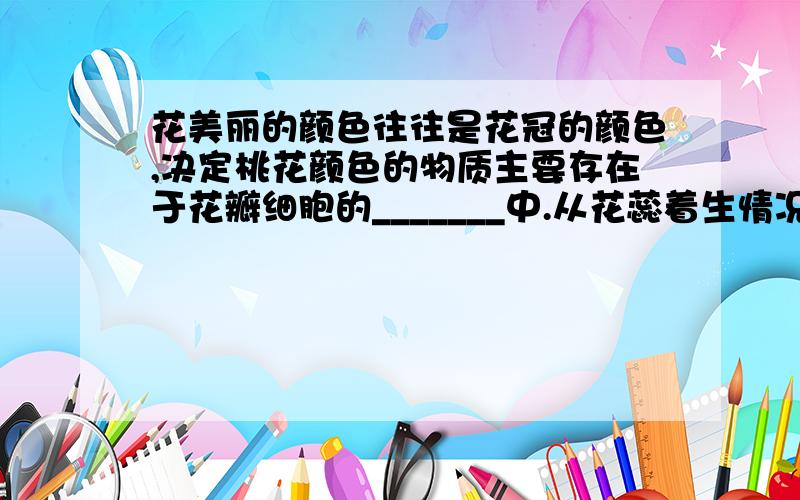 花美丽的颜色往往是花冠的颜色,决定桃花颜色的物质主要存在于花瓣细胞的_______中.从花蕊着生情况看,桃花属于____