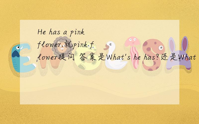 He has a pink flower.就pink flower提问 答案是What's he has?还是What