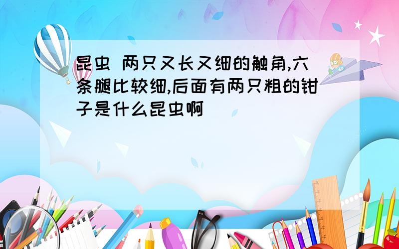 昆虫 两只又长又细的触角,六条腿比较细,后面有两只粗的钳子是什么昆虫啊