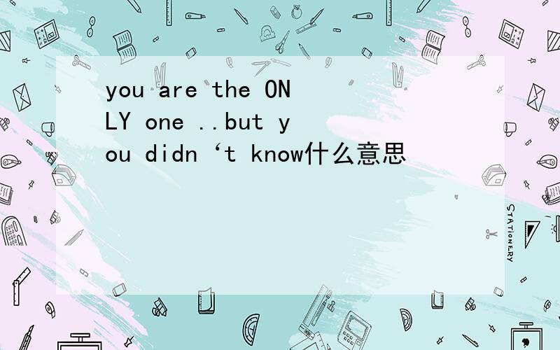 you are the ONLY one ..but you didn‘t know什么意思