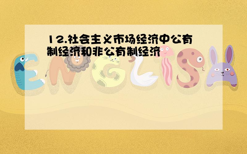 12.社会主义市场经济中公有制经济和非公有制经济