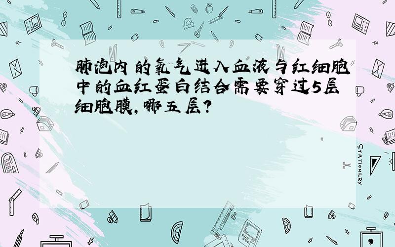 肺泡内的氧气进入血液与红细胞中的血红蛋白结合需要穿过5层细胞膜,哪五层?