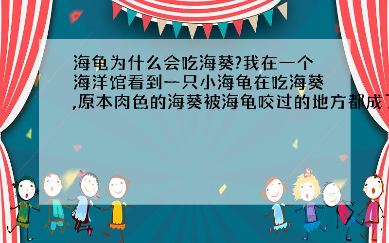 海龟为什么会吃海葵?我在一个海洋馆看到一只小海龟在吃海葵,原本肉色的海葵被海龟咬过的地方都成了绿色,很恐怖,想问问是怎么