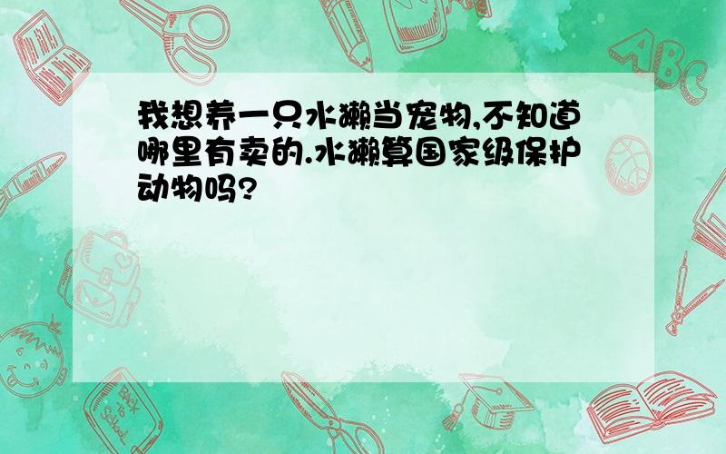 我想养一只水獭当宠物,不知道哪里有卖的.水獭算国家级保护动物吗?