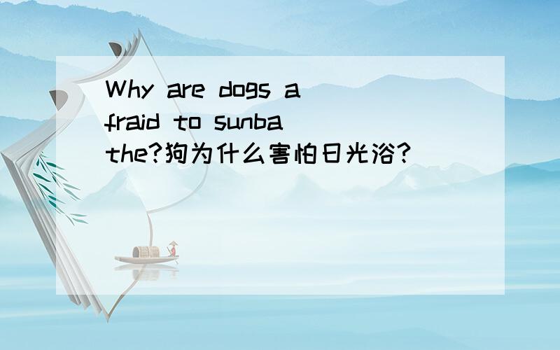 Why are dogs afraid to sunbathe?狗为什么害怕日光浴?