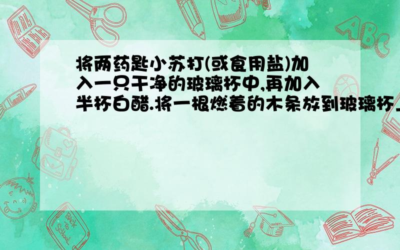 将两药匙小苏打(或食用盐)加入一只干净的玻璃杯中,再加入半杯白醋.将一根燃着的木条放到玻璃杯上方,观察