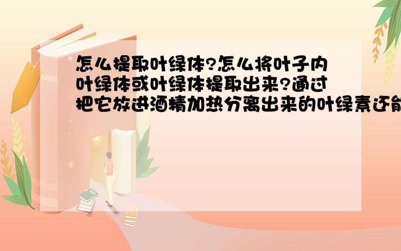 怎么提取叶绿体?怎么将叶子内叶绿体或叶绿体提取出来?通过把它放进酒精加热分离出来的叶绿素还能经行光合作用吗?我希望看到的