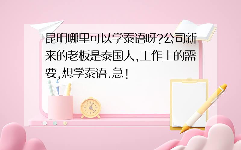 昆明哪里可以学泰语呀?公司新来的老板是泰国人,工作上的需要,想学泰语.急!