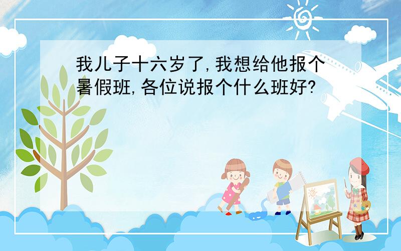 我儿子十六岁了,我想给他报个暑假班,各位说报个什么班好?