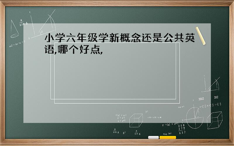 小学六年级学新概念还是公共英语,哪个好点,