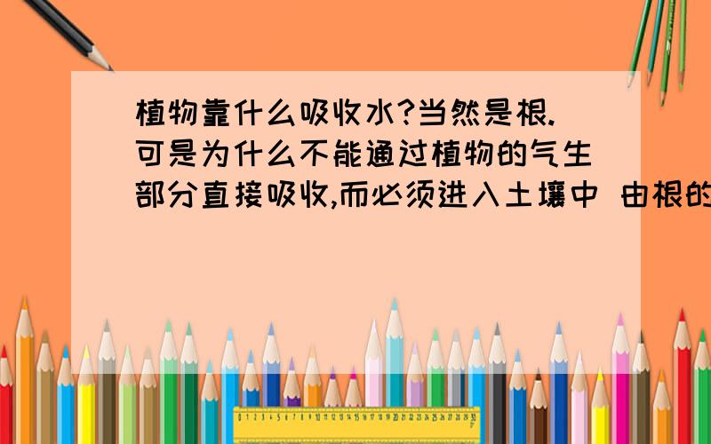 植物靠什么吸收水?当然是根.可是为什么不能通过植物的气生部分直接吸收,而必须进入土壤中 由根的根毛吸收?