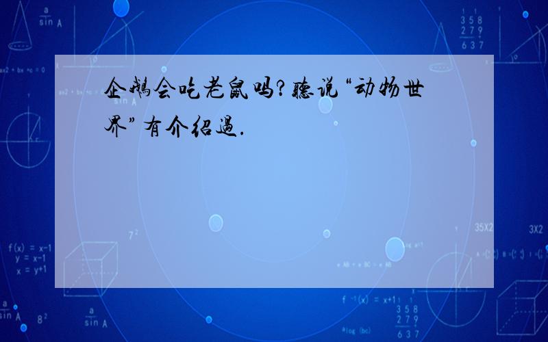 企鹅会吃老鼠吗?听说“动物世界”有介绍过.