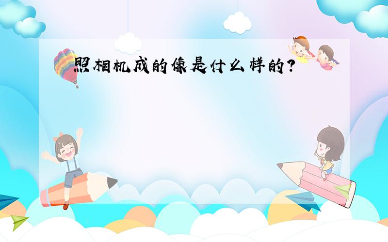 照相机成的像是什么样的?