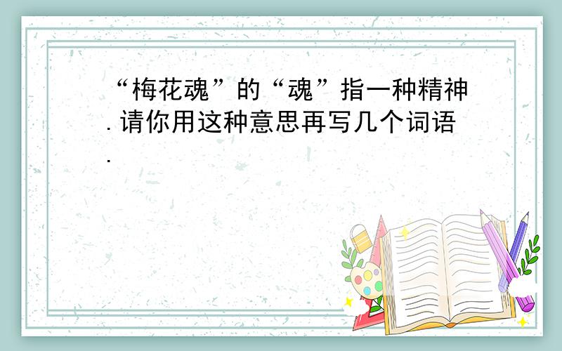 “梅花魂”的“魂”指一种精神.请你用这种意思再写几个词语.