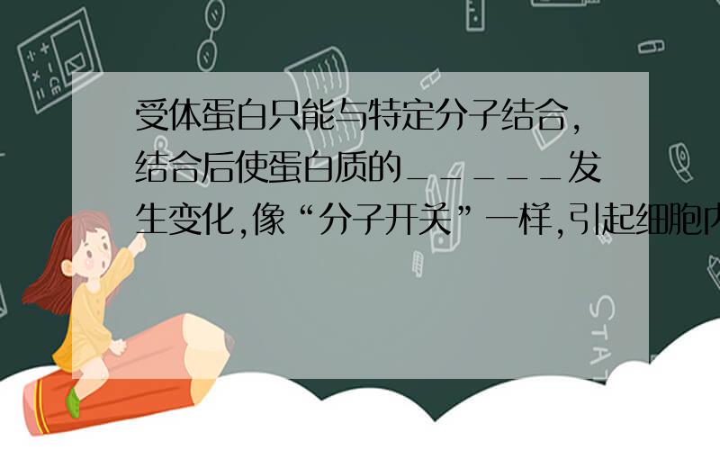 受体蛋白只能与特定分子结合,结合后使蛋白质的_____发生变化,像“分子开关”一样,引起细胞内一系列变化,是细胞膜完成_