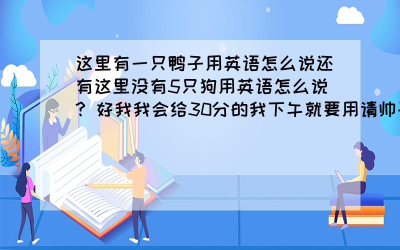 这里有一只鸭子用英语怎么说还有这里没有5只狗用英语怎么说? 好我我会给30分的我下午就要用请帅哥美女快