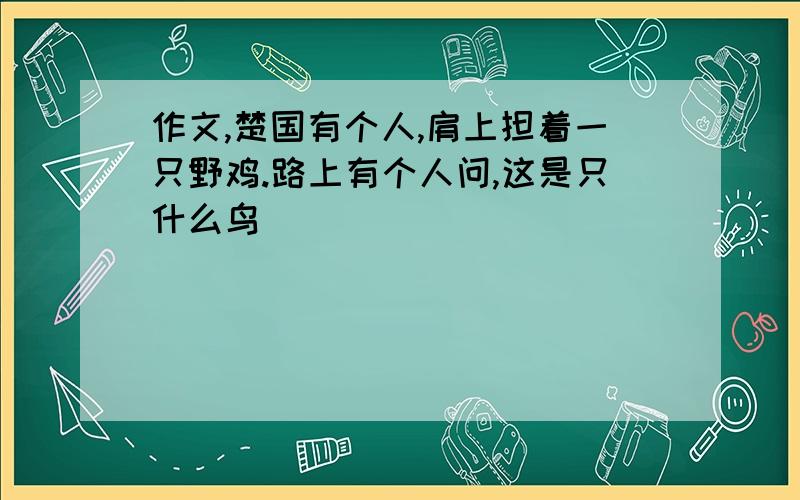 作文,楚国有个人,肩上担着一只野鸡.路上有个人问,这是只什么鸟