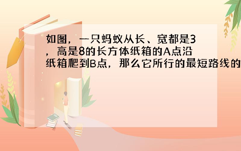 如图，一只蚂蚁从长、宽都是3，高是8的长方体纸箱的A点沿纸箱爬到B点，那么它所行的最短路线的长是（　　）