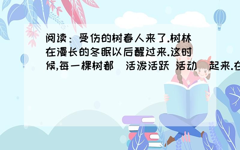 阅读：受伤的树春人来了.树林在漫长的冬眠以后醒过来.这时候,每一棵树都（活泼活跃 活动）起来.在地下向很深的地方,树根已