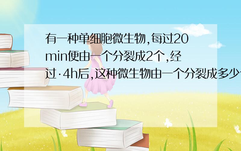 有一种单细胞微生物,每过20min便由一个分裂成2个,经过·4h后,这种微生物由一个分裂成多少个·