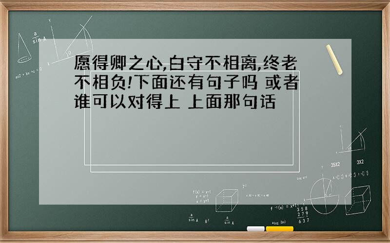 愿得卿之心,白守不相离,终老不相负!下面还有句子吗 或者谁可以对得上 上面那句话