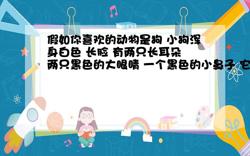 假如你喜欢的动物是狗 小狗浑身白色 长脸 有两只长耳朵 两只黑色的大眼睛 一个黑色的小鼻子 它是你的宠物狗 你的家人都非