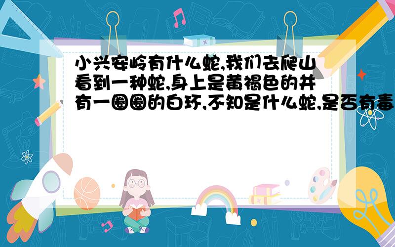 小兴安岭有什么蛇,我们去爬山看到一种蛇,身上是黄褐色的并有一圈圈的白环,不知是什么蛇,是否有毒?