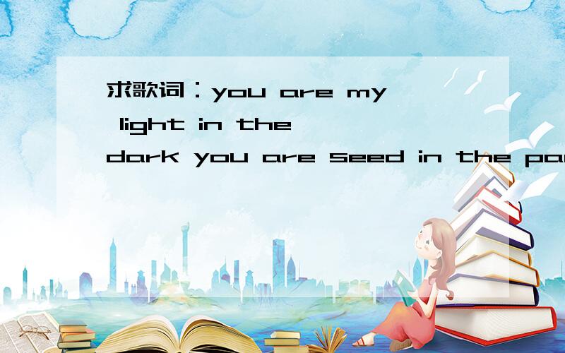 求歌词：you are my light in the dark you are seed in the park th