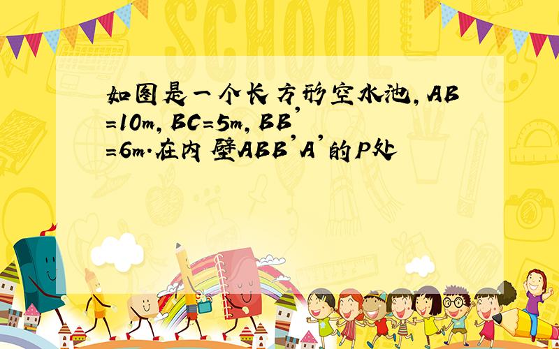 如图是一个长方形空水池,AB=10m,BC=5m,BB'=6m.在内壁ABB'A'的P处