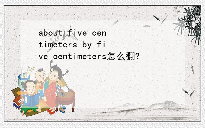 about five centimeters by five centimeters怎么翻?