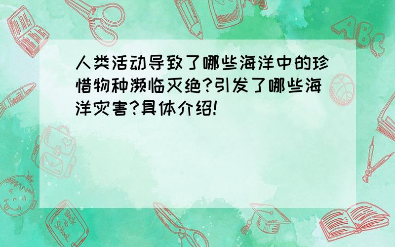 人类活动导致了哪些海洋中的珍惜物种濒临灭绝?引发了哪些海洋灾害?具体介绍!