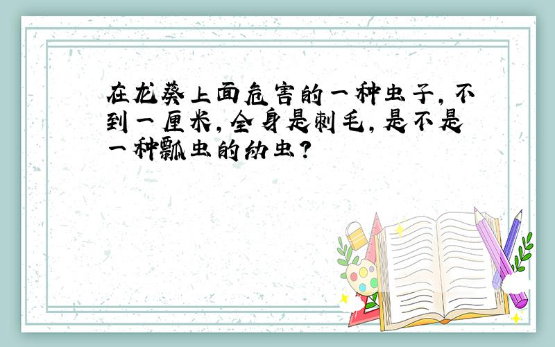 在龙葵上面危害的一种虫子,不到一厘米,全身是刺毛,是不是一种瓢虫的幼虫?