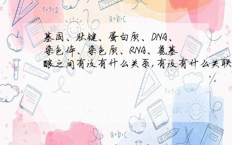 基因、肽键、蛋白质、DNA、染色体、染色质、RNA、氨基酸之间有没有什么关系,有没有什么关联