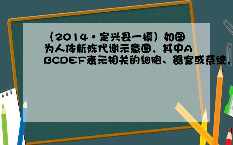 （2014•定兴县一模）如图为人体新陈代谢示意图，其中ABCDEF表示相关的细胞、器官或系统，abcde表示相关物质，①