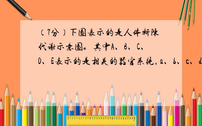 （7分）下图表示的是人体新陈代谢示意图。其中A、B、C、D、E表示的是相关的器官系统，a、b、c、d表示相关的物质，分析