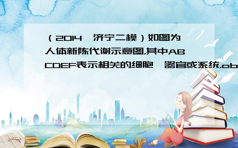 （2014•济宁二模）如图为人体新陈代谢示意图，其中ABCDEF表示相关的细胞、器官或系统，abcde表示相关物质，①②