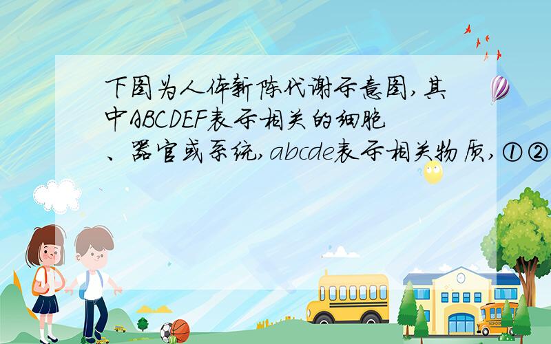 下图为人体新陈代谢示意图,其中ABCDEF表示相关的细胞、器官或系统,abcde表示相关物质,①②表示生理过