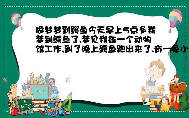 做梦梦到鳄鱼今天早上5点多我梦到鳄鱼了,梦见我在一个动物馆工作,到了晚上鳄鱼跑出来了,有一条小的有一跳大的,我是第一个发