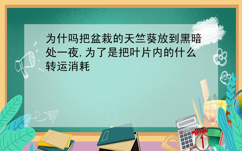 为什吗把盆栽的天竺葵放到黑暗处一夜,为了是把叶片内的什么转运消耗