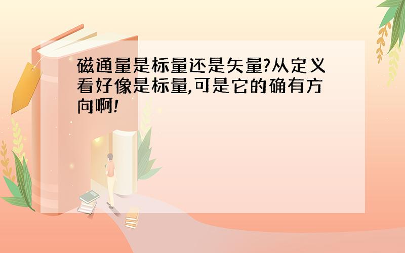 磁通量是标量还是矢量?从定义看好像是标量,可是它的确有方向啊!