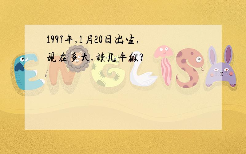 1997年,1月20日出生,现在多大,读几年级?