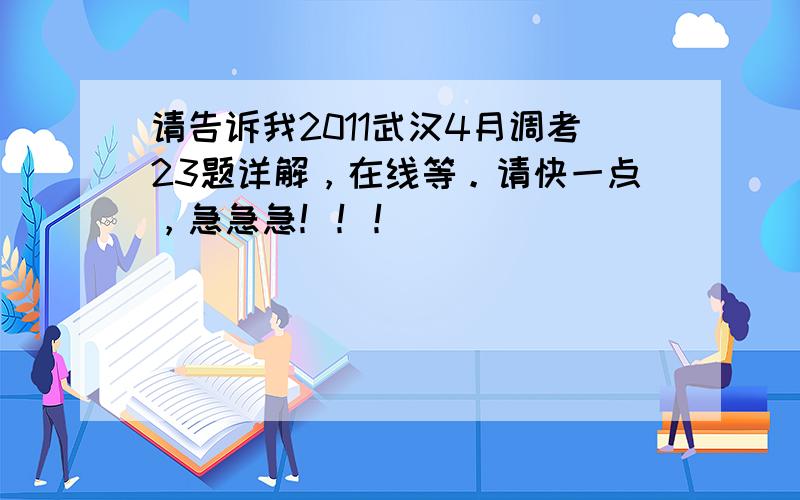 请告诉我2011武汉4月调考23题详解，在线等。请快一点，急急急！！！