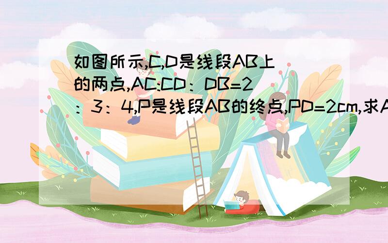 如图所示,C,D是线段AB上的两点,AC:CD：DB=2：3：4,P是线段AB的终点,PD=2cm,求AB长