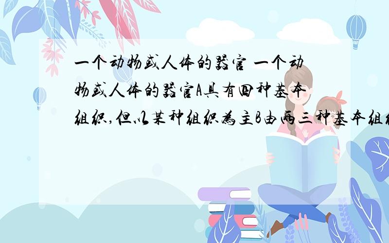 一个动物或人体的器官 一个动物或人体的器官A具有四种基本组织,但以某种组织为主B由两三种基本组织构成