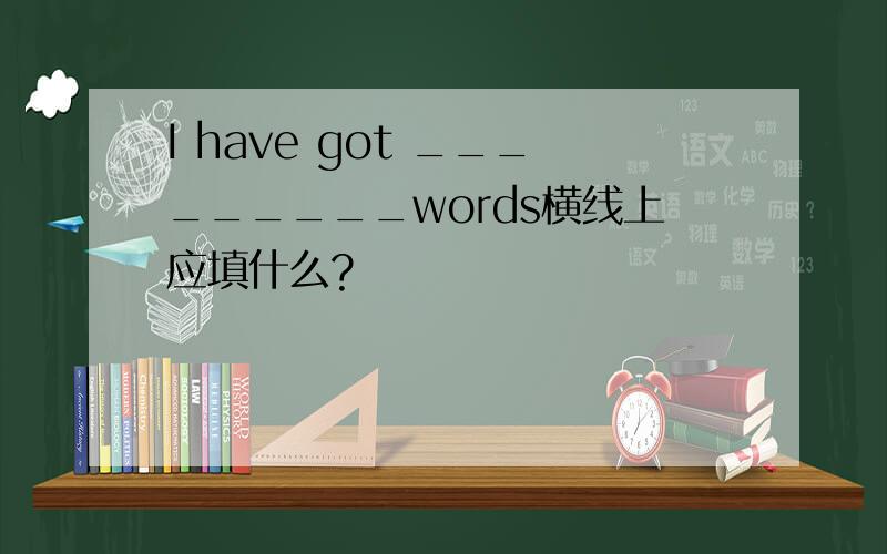 I have got _________words横线上应填什么?