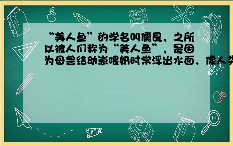 “美人鱼”的学名叫儒艮，之所以被人们称为“美人鱼”，是因为母兽给幼崽喂奶时常浮出水面，像人类哺乳的情形，你认为“美人鱼”